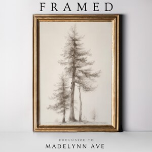 Framed Modern Pine Tree Art Print, Framed Abstract Pines Sketch, Framed Rustic Farmhouse Artwork, Framed Artwork for Cabin