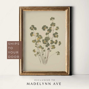 Arte botánico, dibujo botánico vintage, póster botánico, dibujo de plantas, pintura botánica, impresión de arte botánico de trébol, botánico neutro