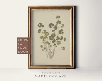 Botanical Art, Vintage Botanical Drawing, Botanical Poster, Plant Drawing, Botanical Painting, Clover Botanical Art Print, Neutral Botanical