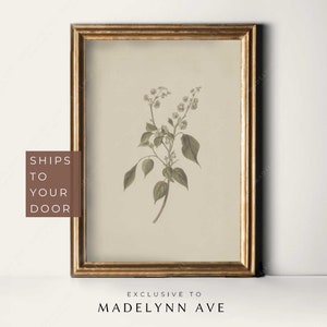Botanical Print - Etsy