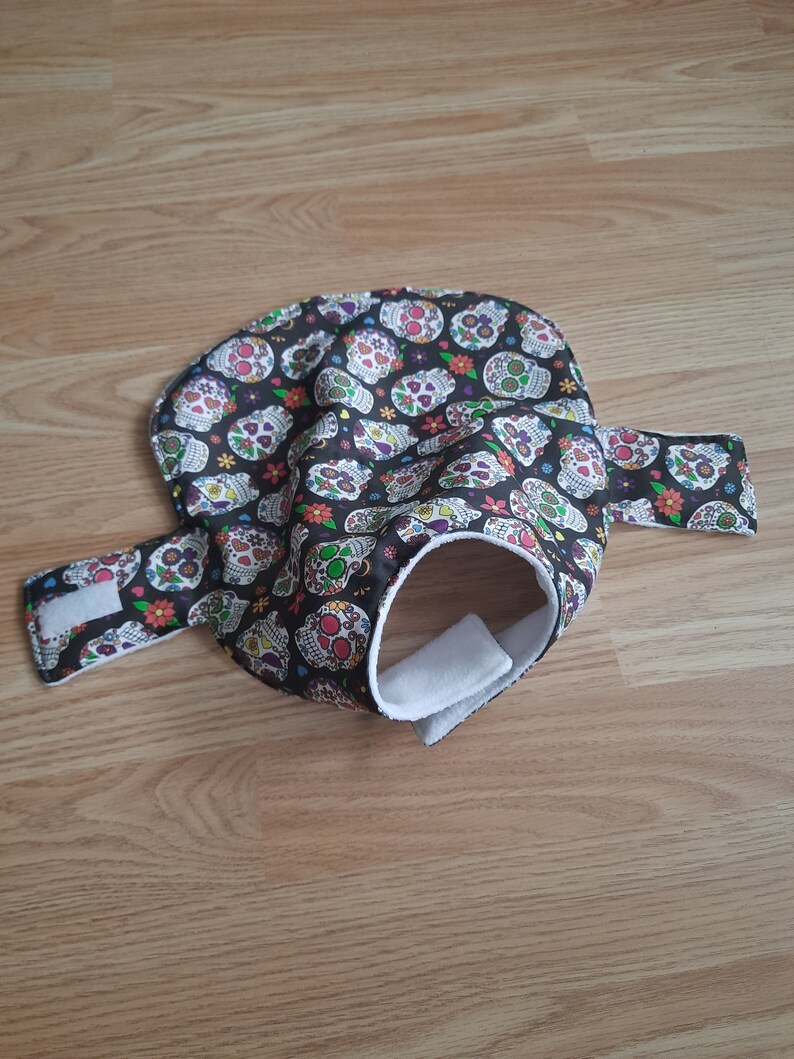 Dog Coat SMALL. sugar skulls image 4