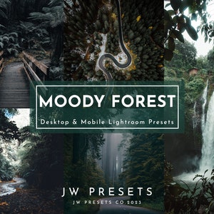 May include: Moody Forest Lightroom presets for desktop and mobile. The image shows a collage of forest scenes with a winding road, a wooden bridge, and a waterfall.