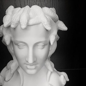 Puede incluir: Busto de Medusa de cerámica blanca con serpientes como cabello. El busto es una maceta con un acabado liso y mate.