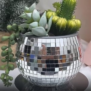 May include: A spherical planter covered in mirrored tiles, resembling a disco ball, holding several succulents. The succulents are various shades of green. The planter sits on a dark grey base. The planter's diameter is approximately 15 cm.