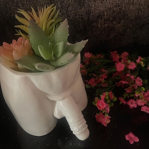 Puede incluir: Maceta de cerámica blanca con forma de cuerpo humano con una planta suculenta en su interior. La planta tiene hojas verdes y rosas. La maceta está sobre una superficie negra con flores rosas.