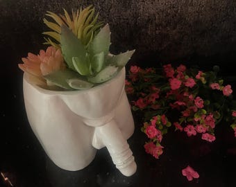 Może przedstawiać: Biała ceramiczna doniczka w kształcie ludzkiego ciała z sukulentem w środku. Roślina ma zielone i różowe liście. Doniczka stoi na czarnym tle z różowymi kwiatami.