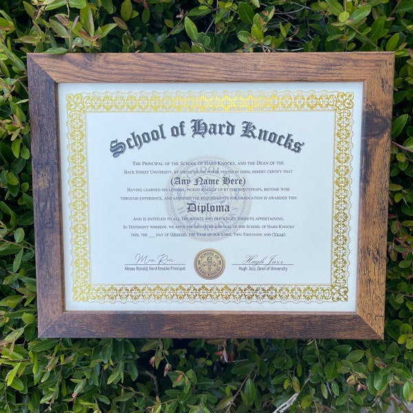 School of Hard Knocks Diploma - Nifty Gifty - Unique - Humorous - Gold - Silver - Parchment - Certificate