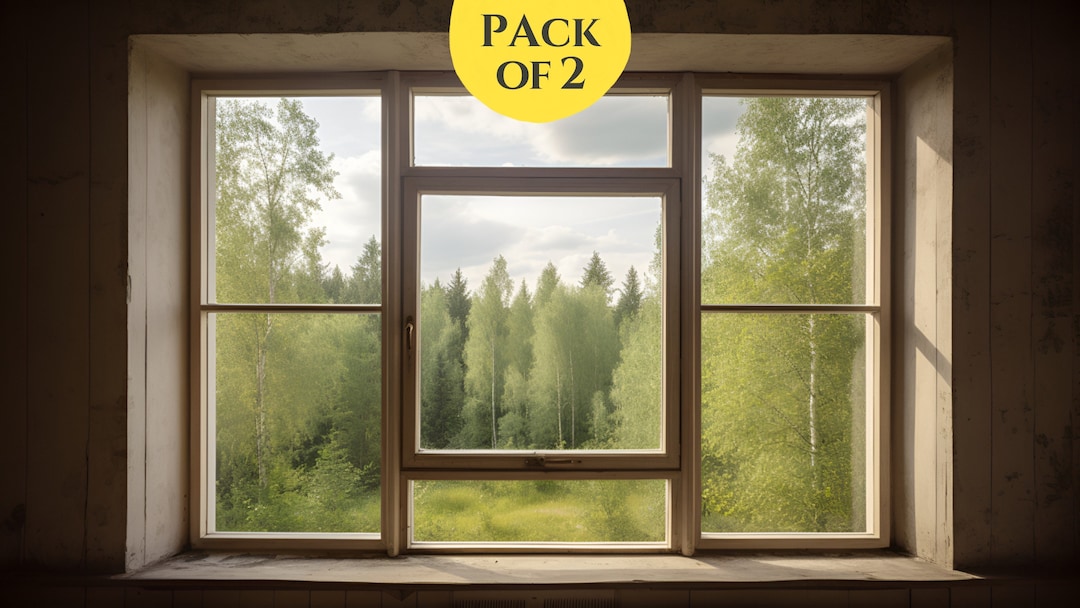 Forest View Window Background, Zoom Meetings, Zoom Virtual Background