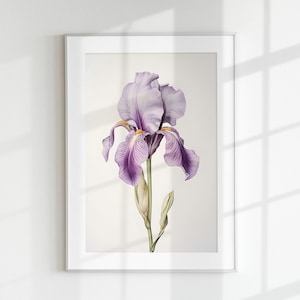 Impresión de iris, estampado floral, estampado de flores, flor botánica, iris, arte de pared, impresión de pared, cartel botánico, litografía de flores, cartel vintage