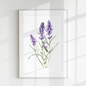 Lavendel Wand Kunst DRUCKBAR Lila Blume Druck Pflanze Blätter Blütenblatt Minimal Poster Dekoration Lavandula Duftöl Tee Knospen Kraut Kräutermischung