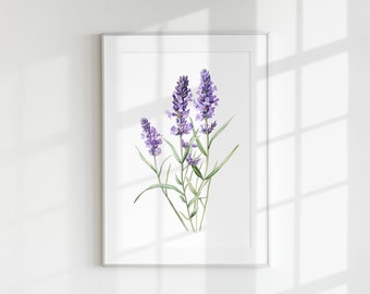 Lavender Wall art PRINTABLE Purple Flower Print Plant Leaves Petal Minimal Poster Home Decoration Lavandula Scent Oil Tea Buds Herb Herbal