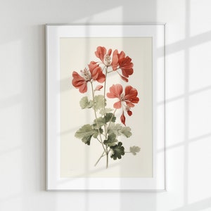 Geranium Print, Floral Print, Flower Print, Botanical Print, Geranium, Wall Art, Wall Print, Botanical Poster, Flower lithograph, Vintage