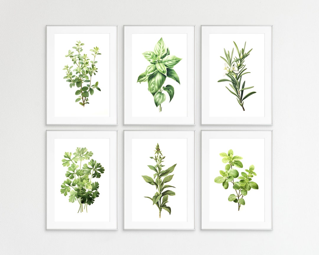 Herbs Print Bundle, Herb Prints, Set of 6, Botanical Guide, Wall Art