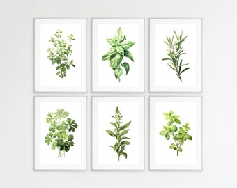 Paquete de impresiones de hierbas, impresiones de hierbas, juego de 6, guía botánica, arte mural, impresiones de pared, pósteres de hierbas, litografías de hierbas, hierbas