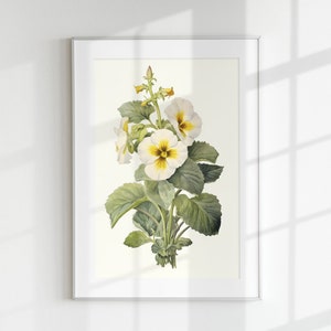 Primrose Print, Floral Print, Flower Print, Botanical Flower, Primrose, Wall Art, Wall Print, Botanical Poster, Flower lithograph, Vintage