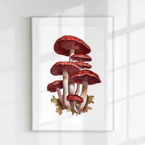 Seta Reishi, Seta, Impresión de setas, Guía botánica, Hongos, Arte de pared, Impresión de pared, Cartel de setas, Litografía, Reishi