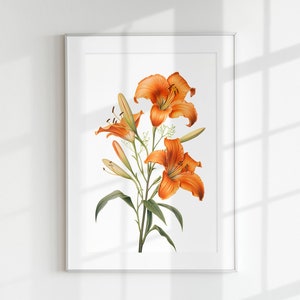 Orange Daylily Print, Floral Print, Flower Print, Botanical Flower, Orange Daylily, Wall Art, Wall Print, Botanical Poster, Digital Download