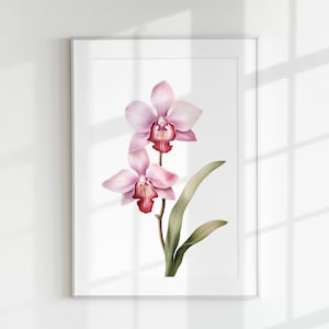 Impresión de orquídea, impresión floral, impresión de flores, impresión botánica, orquídea, arte mural, impresión mural, póster botánico, litografía de flores, póster vintage