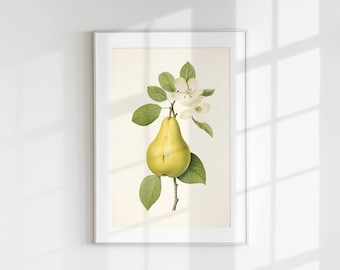 Pear Print, Fruit Print, Flower Print, Botanical Fruits, Pear branch, Wall Art, Wall Print, Botanical Poster, Fruit lithograph, vintage