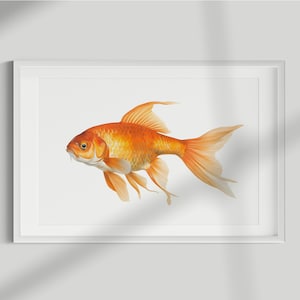 Goldfish Print, Fish Print, Goldfish, Wall Art, Wall Print, Fish Poster, Fish lithograph, Vintage, Illustration, Decor, Fishing, Download