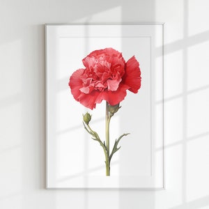 Carnation Print, Floral Print, Flower Print, Botanical Print, Carnation, Wall Art, Wall Print, Botanical Poster, Flower lithograph, Vintage