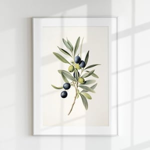 Olive Print, Floral Print, Flower Print, Botanical Flower, Olive branch, Wall Art, Wall Print, Botanical Poster, Flower lithograph, Vintage