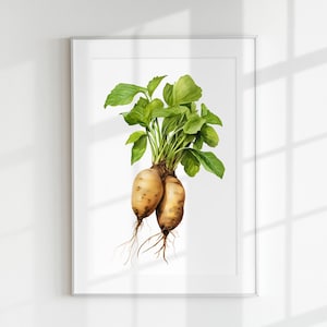 Könnte beinhalten: Eine Aquarell-Illustration von zwei gelbbraunen Pastinaken mit grünen Blättern vor weißem Hintergrund.