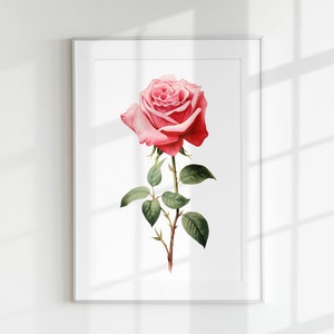 Estampado de rosas, Estampado floral, Estampado de flores, Estampado botánico, Rosa, Arte de pared, Estampado de pared, Cartel botánico, Litografía de flores, Cartel vintage