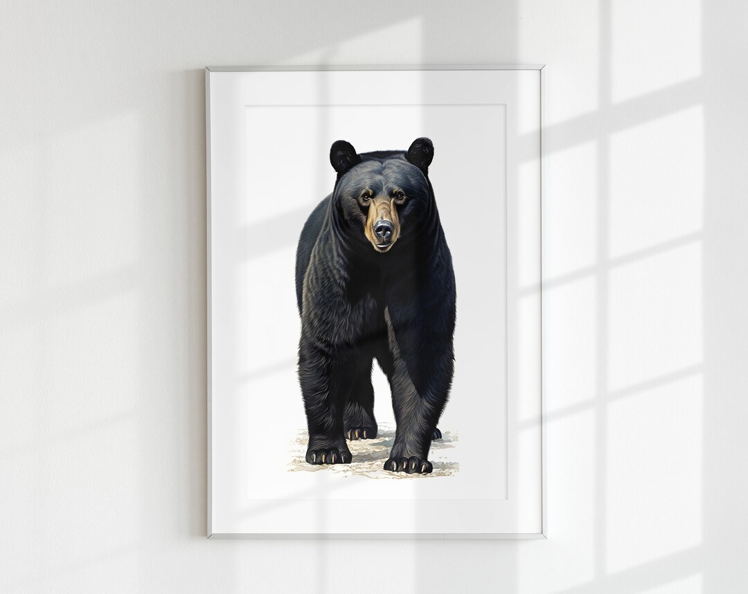 American Black Bear Wall Art PRINTABLE Forest Mammal Minimal Poster ...