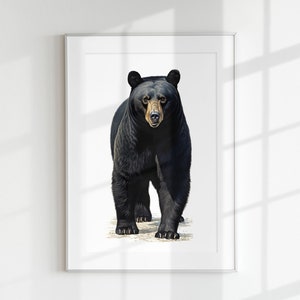 American Black Bear Wall Art PRINTABLE Forest Mammal Minimal Poster Botanical Wildlife Decoration Predator Ursus Americanus Ecology Woods