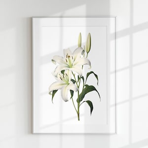 May include: A framed botanical print featuring a detailed illustration of white lilies with green leaves and stems. The artwork is set against a white background, with the frame adding a clean, modern aesthetic. The lilies are in full bloom.