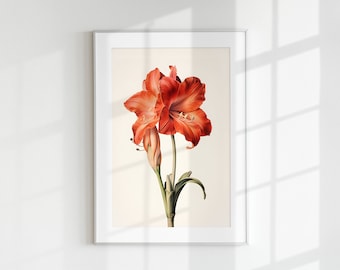 Impresión de amaryllis, impresión floral, impresión de flores, flor botánica, amaryllis, arte de pared, impresión de pared, póster botánico, litografía de flores, vintage