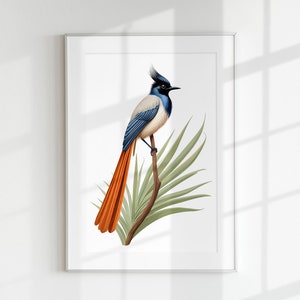 Paradise Flycatcher Print, Bird Print, Guía botánica, Paradise Flycatcher, Arte de pared, Impresión de pared, Cartel de aves, Pájaro, Pájaro tropical