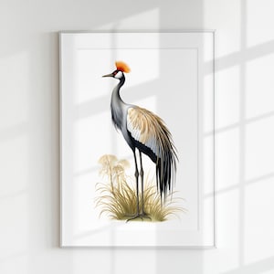 Impresión de grulla coronada, impresión de aves, guía botánica, grulla coronada, arte de pared, impresión de pared, cartel de aves, litografía de aves, pájaro tropical, pájaro