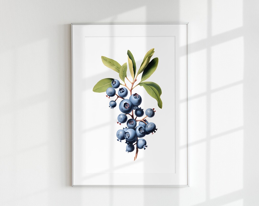 Blueberry Print, Fruit Print, Berry Print, Botanical Fruits, Blueberry ...