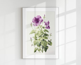 Petunia Print, Floral Print, Flower Print, Botanical Flower, Petunia, Wall Art, Wall Print, Botanical Poster, Flower lithograph, Vintage