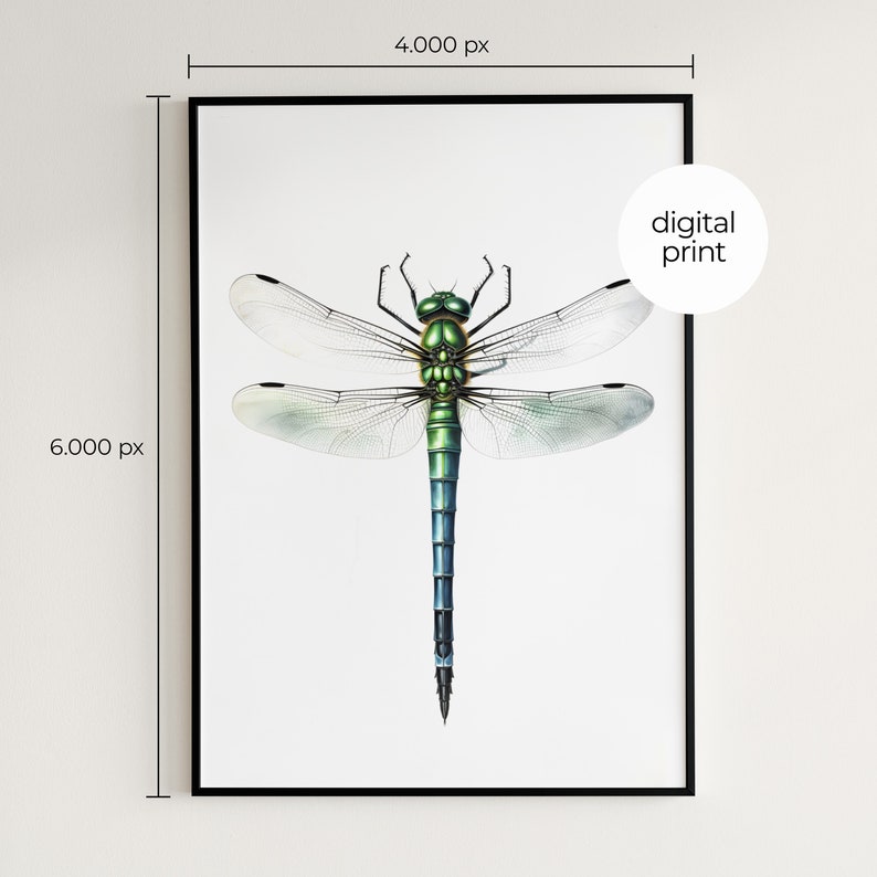 Dragonfly Print, Bug Print, Insect Print, Botanical Guide, Dragonfly ...