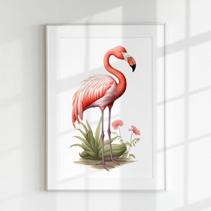Impresión de flamencos, Impresión de aves, Guía botánica, Flamenco, Arte de pared, Impresión de pared, Cartel de aves, Litografía de aves, Pájaro, Pájaro tropical
