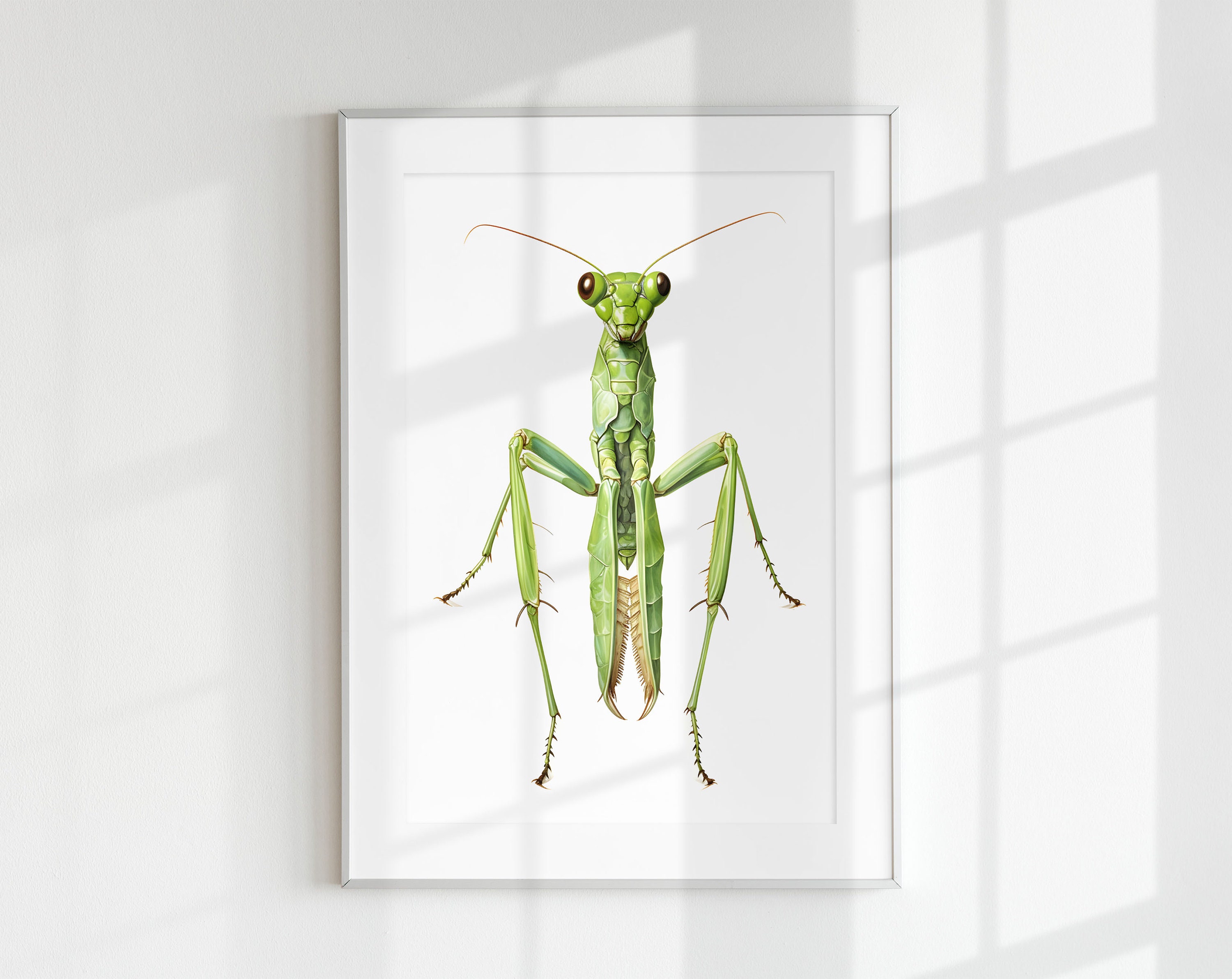 ゴーストマンティス - Etsy 日本