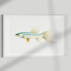 May include: A watercolor painting of a blue and green fish with yellow fins and a white background.