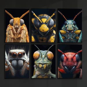 May include: A collection of six close-up photographs of insects. The images feature a yellow and black wasp, a green and blue beetle, a red and black beetle, a white spider, a brown moth, and a green grasshopper.
