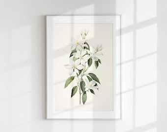Jasmine Print, Floral Print, Flower Print, Botanical Print, Jasmine, Wall Art, Wall Print, Botanical Poster, Flower lithograph, Vintage