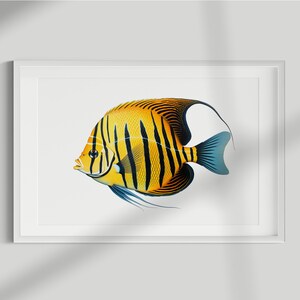 Kaiserfisch Print, Fisch Print, Kaiserfisch, Wandkunst, Wanddruck, Fisch Poster, Fisch Lithographie, Vintage, Illustration, Dekoration, Angeln, Herunterladen