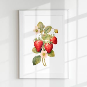 Strawberry Print, Fruit Print, Berry Print, Botanical Fruits, Strawberry branch, Wall Art, Wall Print, Botanical Poster, Fruit lithograph