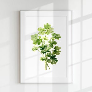 Cilantro Print, Kräuterdruck, Blumendruck, Botanisches Kraut, Cilantro Blatt, Wand Kunst, Wand Druck, Botanisches Poster, Blumen Lithographie, Druck