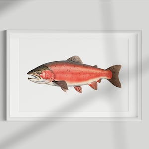 Impression de saumon, impression de poisson, saumon, art mural, impression murale, affiche de poisson, lithographie de poisson, vintage, illustration, décoration, pêche, téléchargement