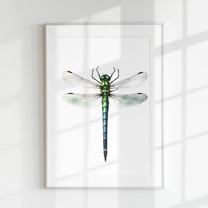 Pode incluir: Uma ilustração emoldurada de uma libélula com asas verdes e azuis sobre um fundo branco.