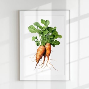 Puede incluir: Una pintura de acuarela de dos zanahorias naranjas con hojas verdes. Las zanahorias se representan con sus raíces visibles, y las hojas están dispuestas de forma natural y fluida.