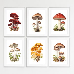 Mushroom Print Bundle, Pilzdrucke, 6er-Set, Botanischer Ratgeber, Wandkunst, Wanddrucke, Pilz Poster, Pilz Lithographien, Pilze
