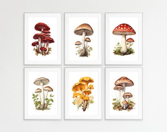 Mushroom Print Bundle, Mushroom Prints, Set of 6, Botanical guide, Wall Art, Wall Prints, Mushroom Posters, Mushroom lithographs, Shrooms